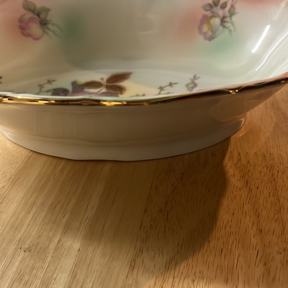 Vintage Schumann Arzberg Bavaria Hand-painted WILD ROSE Oval Relish/Celery Dish. - Picture 3 of 10